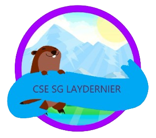 CSE SG LAYDERNIER